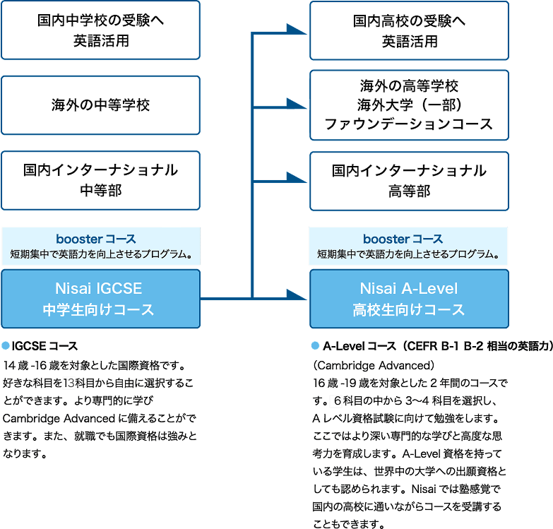 IGCSE 中学生向けコース ｜Nisaiケンブリッジインターナショナル