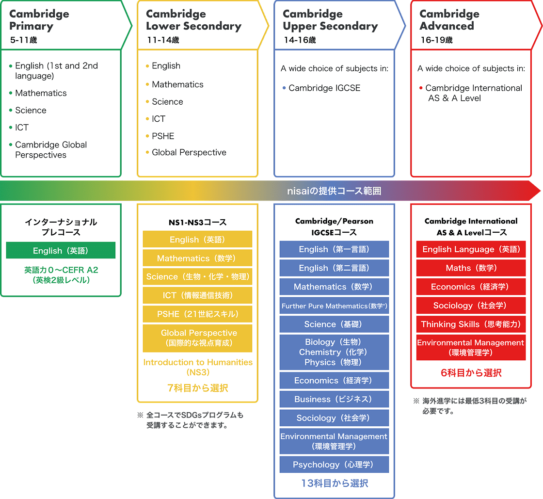 ケンブリッジプログラムの流れの図