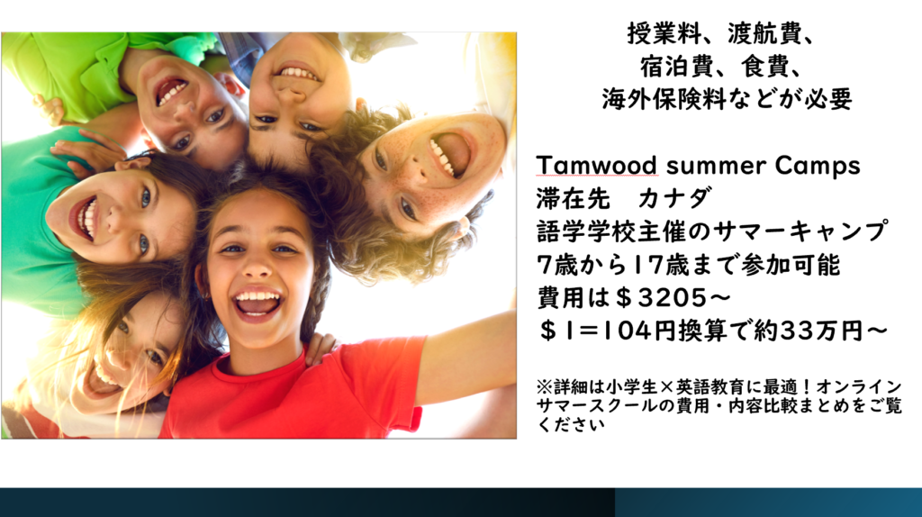 海外の対面型サマースクールの費用相場(20万~40万円)
