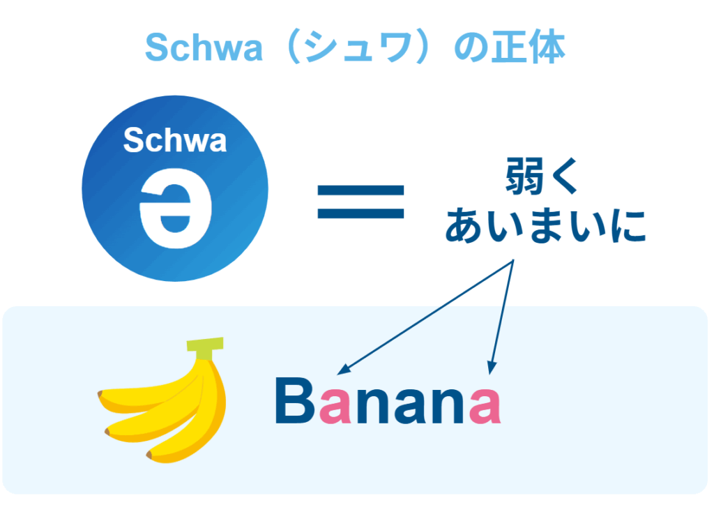 英語特有のあいまい母音シュワを理解してネイティブ発音に近づく